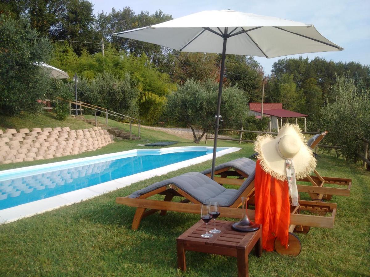Villa Sant'Elena Morro dʼAlba Εξωτερικό φωτογραφία