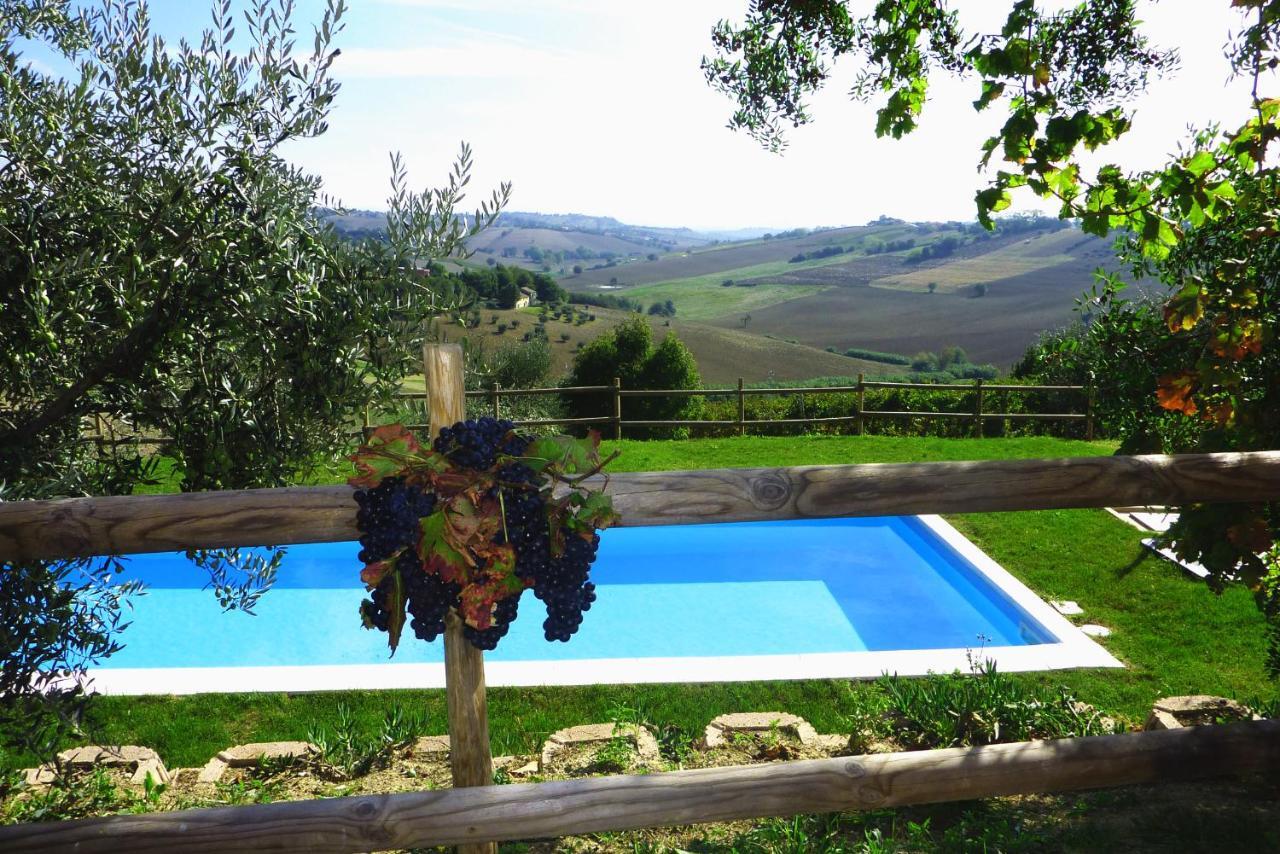 Villa Sant'Elena Morro dʼAlba Εξωτερικό φωτογραφία