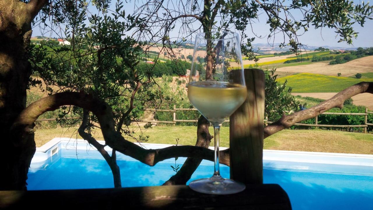 Villa Sant'Elena Morro dʼAlba Εξωτερικό φωτογραφία